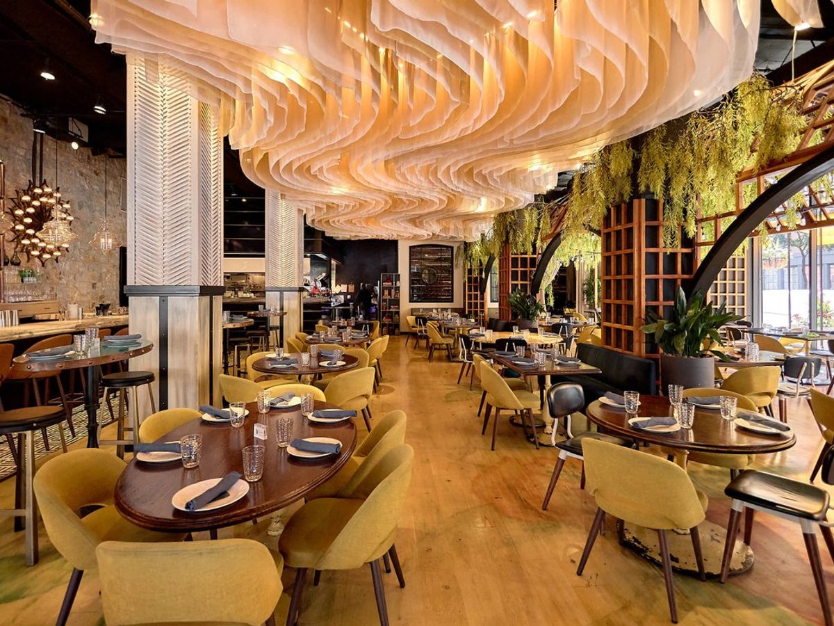 Dining and retail growth in Wedgewood-Houston