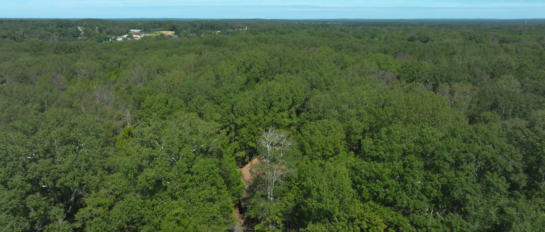 Wooded trails at Clinton Community Nature Center